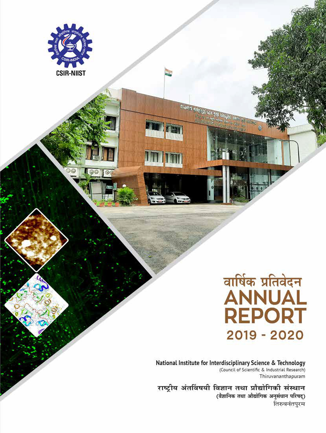 Annual Report 2019 - 2020