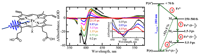 RS-6